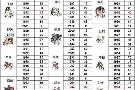 92 年生肖|1992 年出生属什么生肖